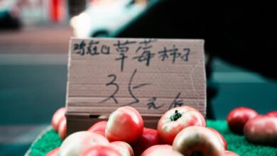 encoded multilingual data review summary