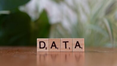 global database verification sequence list