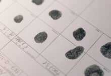 network activity record ids listed