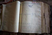 operational data tracking archive ids