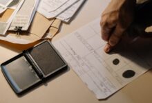 professional verification observation index ids