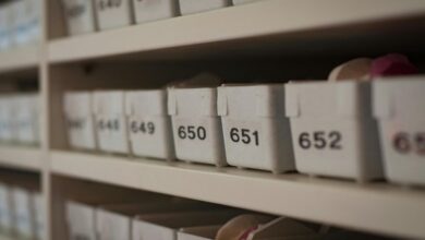 structured digital integrity archive identifiers