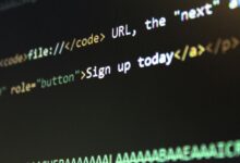 structured network observation file identifiers and domains