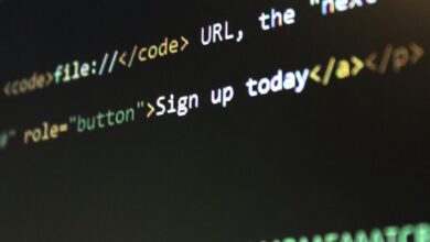 structured network observation file identifiers and domains