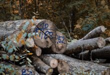 track infrastructure log identifiers and aliases