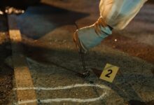 activity ids listed for investigations