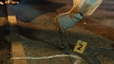 activity ids listed for investigations