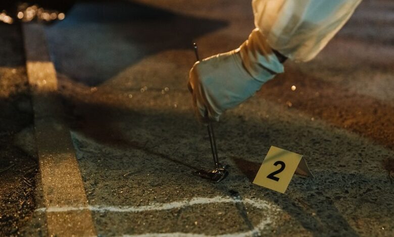 activity ids listed for investigations