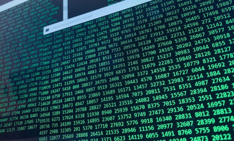 complete numeric lookup identifiers guide
