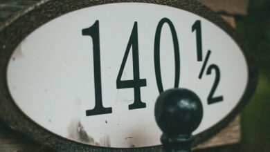 hidden numbers and verification details