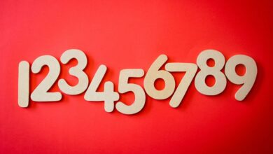 hidden numbers verification sequence details