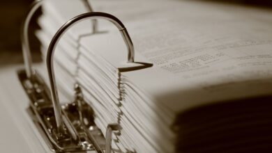 ids reports and records