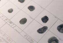 inspect and review data ids