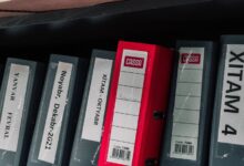 latest records ids listed