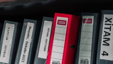 latest records ids listed