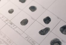 list of nine one one activity numbers