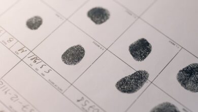 list of nine one one activity numbers