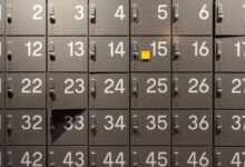 list of numbered activity investigations