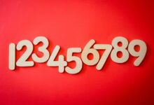 list of phone numbers provided