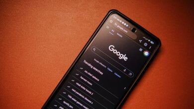 phone numbers and caller search list