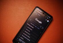 phone numbers identity search results