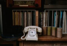phone numbers listed for exploration guide