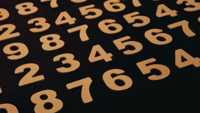 phone numbers listed for verification